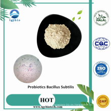 Suplementar el suplemento animal probióticos bacillus subtilis